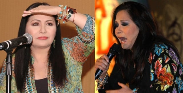 What does Ana Gabriel’s daughter, Diana Alejandra Araujo do?