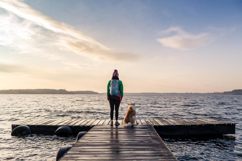 Paws and reflect: The benefits of dog yoga