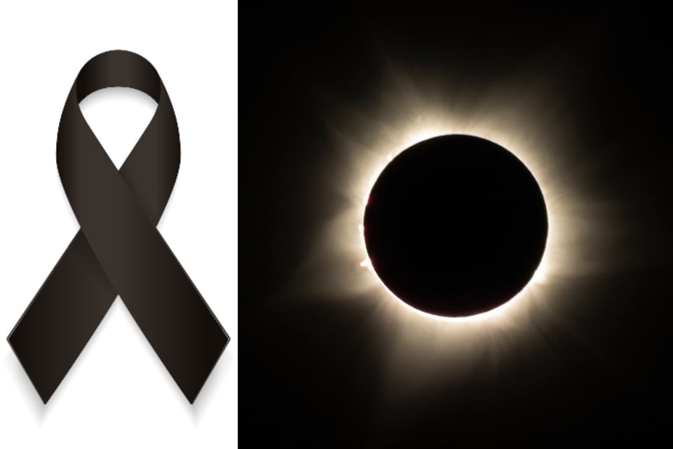 Grandmother dies after falling off a roof while trying to view the eclipse