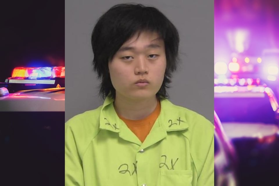 Tragedia por juego online: Arrestan a joven por ataque fatal