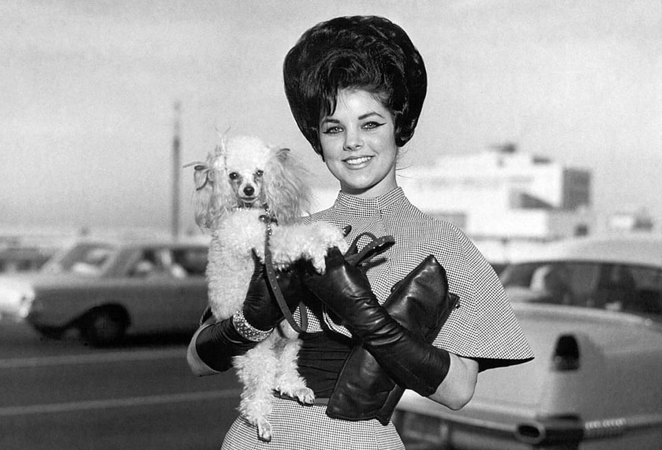 Cantante de rock and roll, Elvis Presley, esposa, Priscilla, mascota
