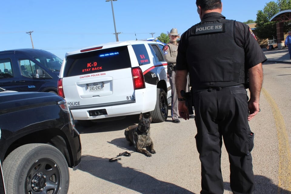 drogas, perro policía, patrullas, policía, MundoNOW