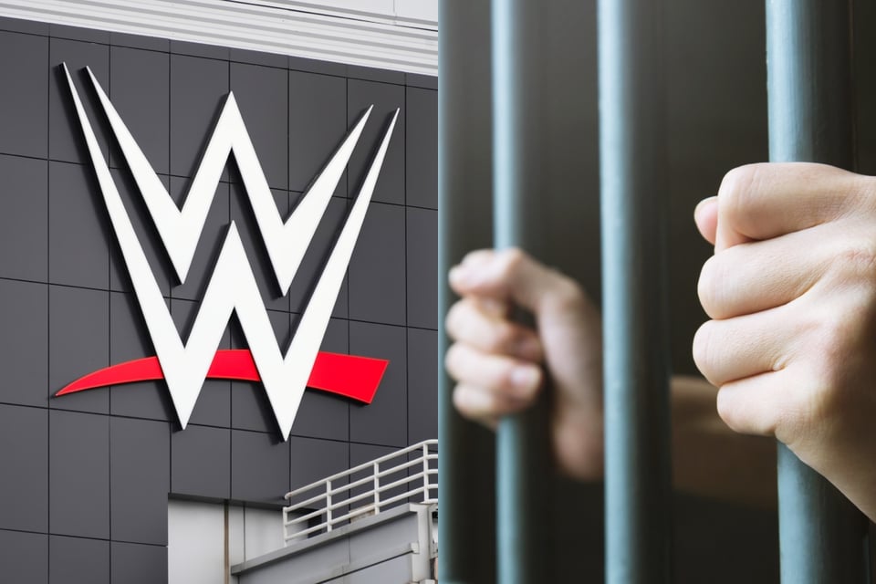 Exestrella de WWE, Tamara ‘Sunny’ Sytch, es condenada a 17 años de prisión featured image