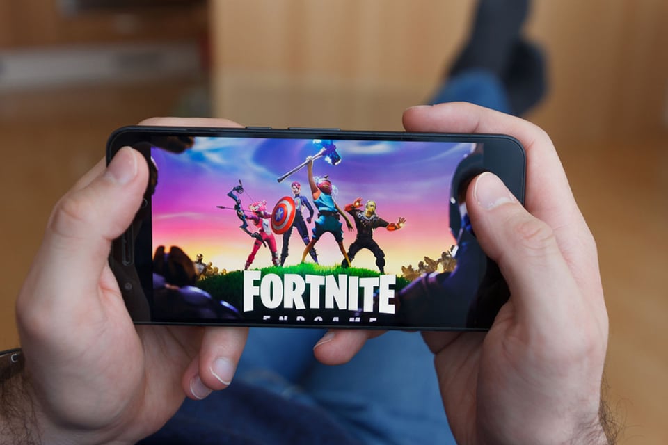 Video Game Fortnite