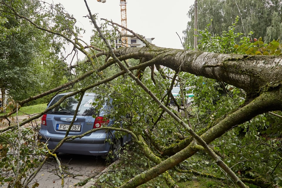 Pronostican fuertes vientos que podrían ocasionar inundaciones tras tormentas en EEUU