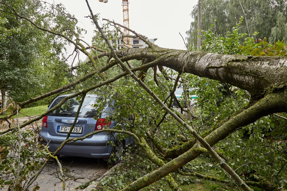 Pronostican fuertes vientos que podrían ocasionar inundaciones tras tormentas en EEUU