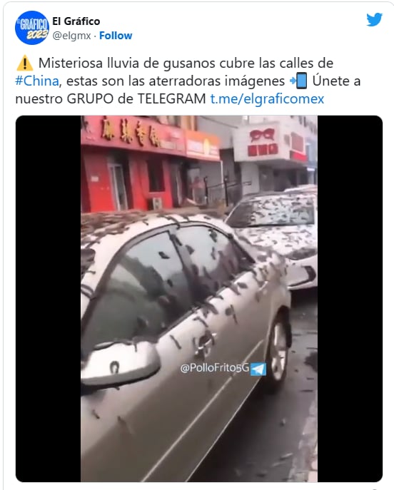 Lluvia gusanos China