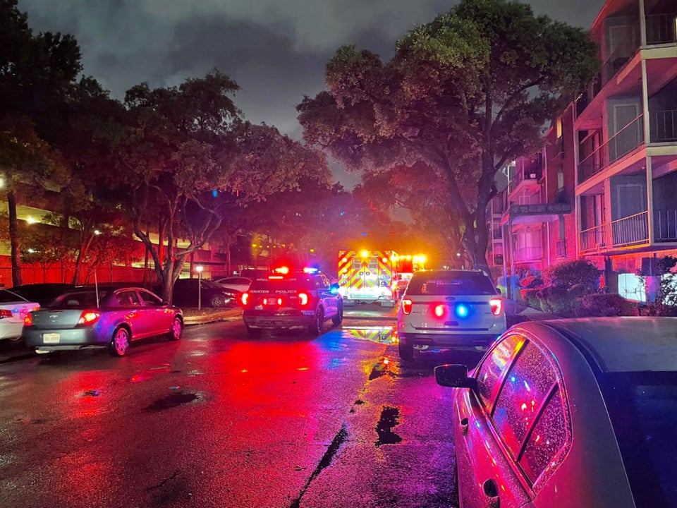 patrol, police, crime, delinquency, shootings