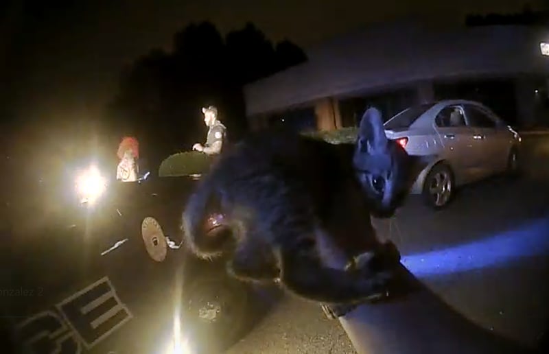 He failed the tests and was arrested.