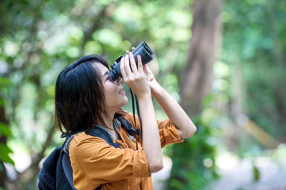habitats, woodlands, wetlands, fields, birdwatching