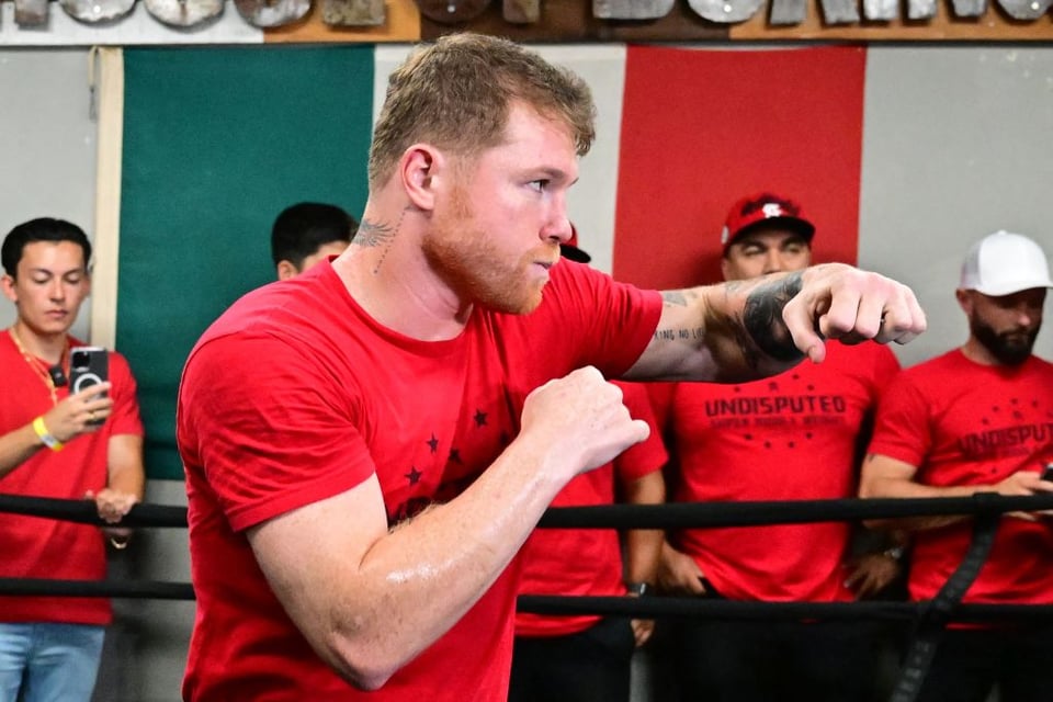 ¡Checa la ‘millonaria’ fiesta que Canelo le organizó a su hija de 5 años! (VIDEOS) featured image