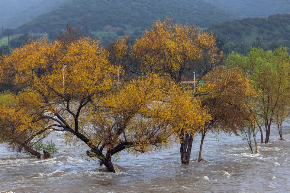Mueren 17 personas en California
