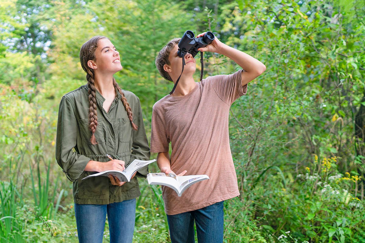 Beginner’s guide to bird watching in early spring