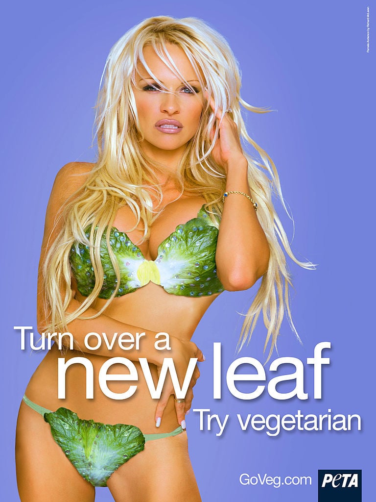 The 10 best photographs of Pamela Anderson in Bikini