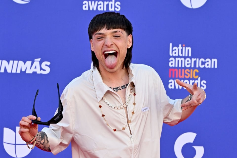 Artist, Stage, Controversy, Show, Featherweight attacks fan