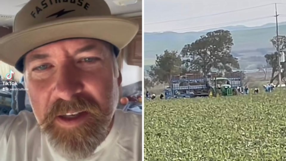 Gringo defiende a mexicanos trabajadores del campo (VIDEO)