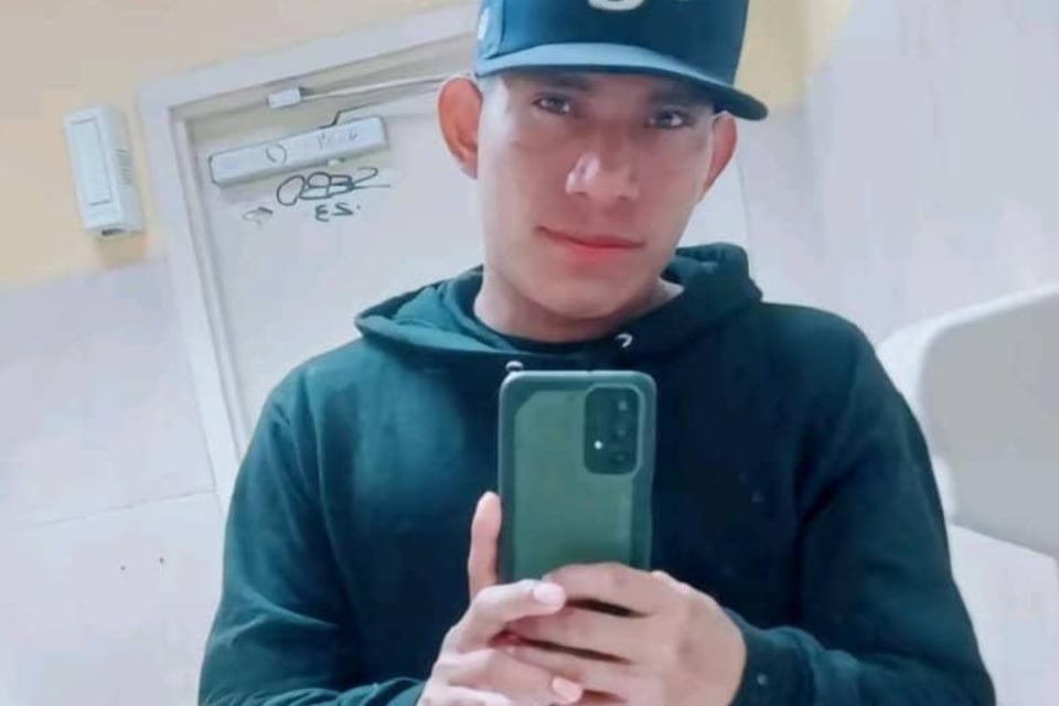 Guatemalteco muere mientras podaba un árbol en Florida featured image