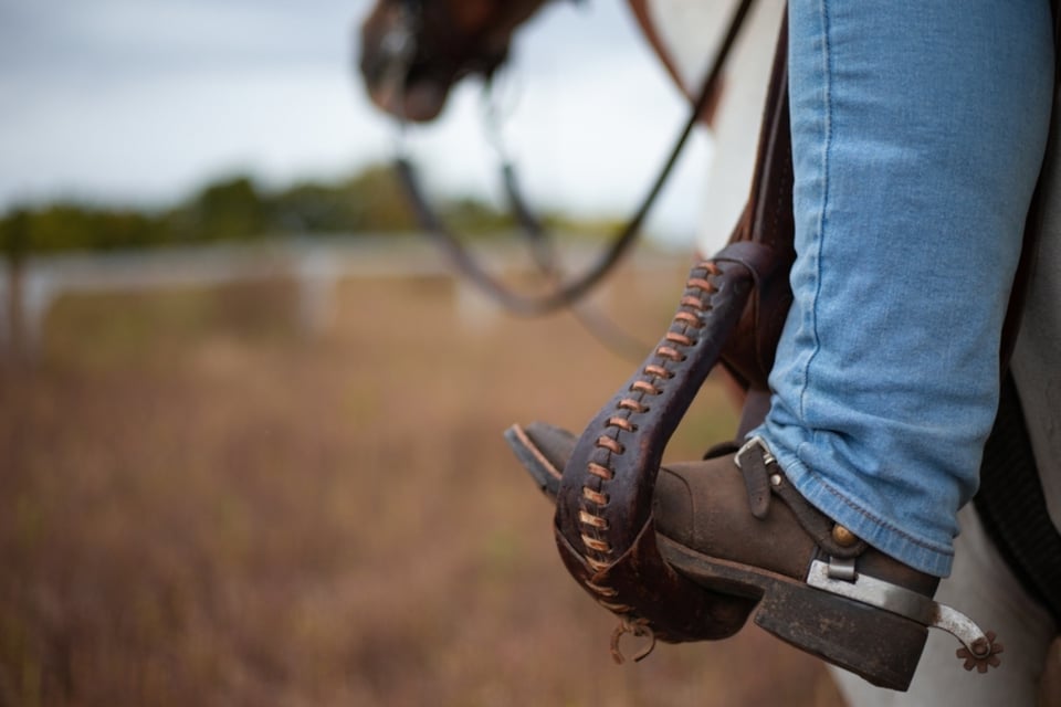 caballo, desierto, estilo, mundonow, empresa