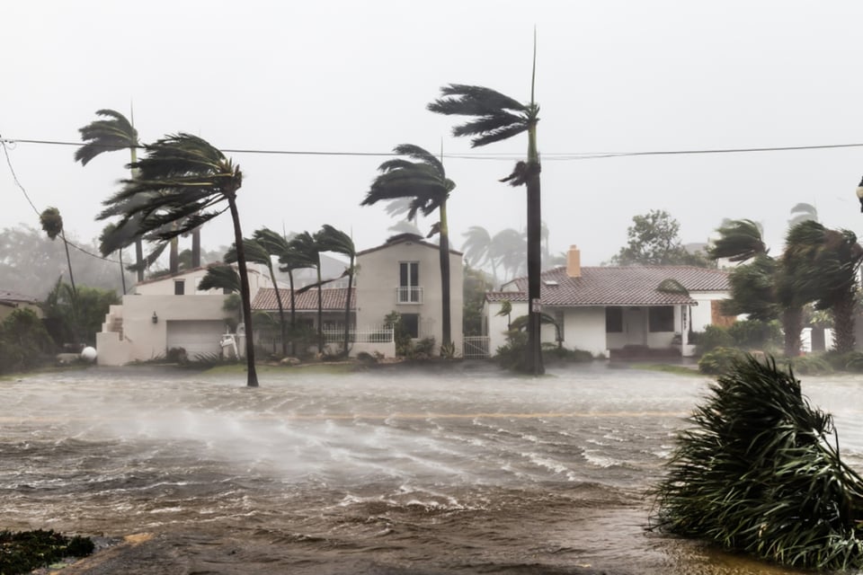 Devastación, población, estadounidenses, vivienda, agua