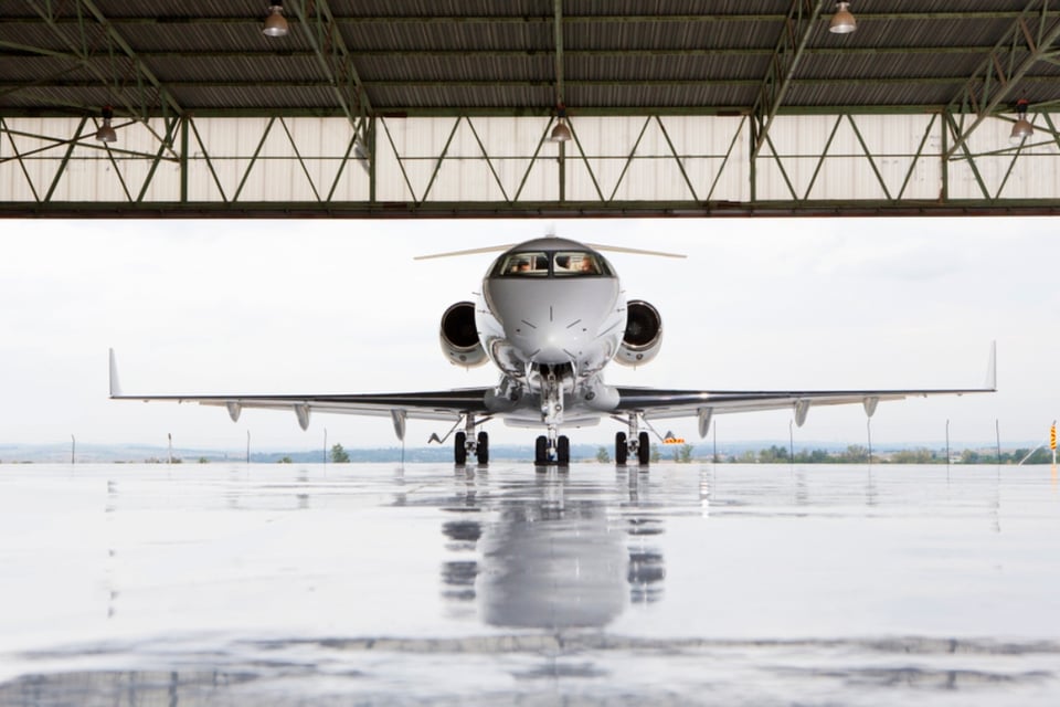 Lo último, Impacto, Sociedad, Protección, Hangar