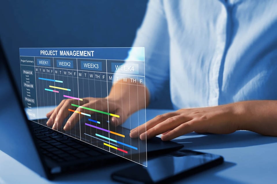 Project Manager, working, at home, online, computer