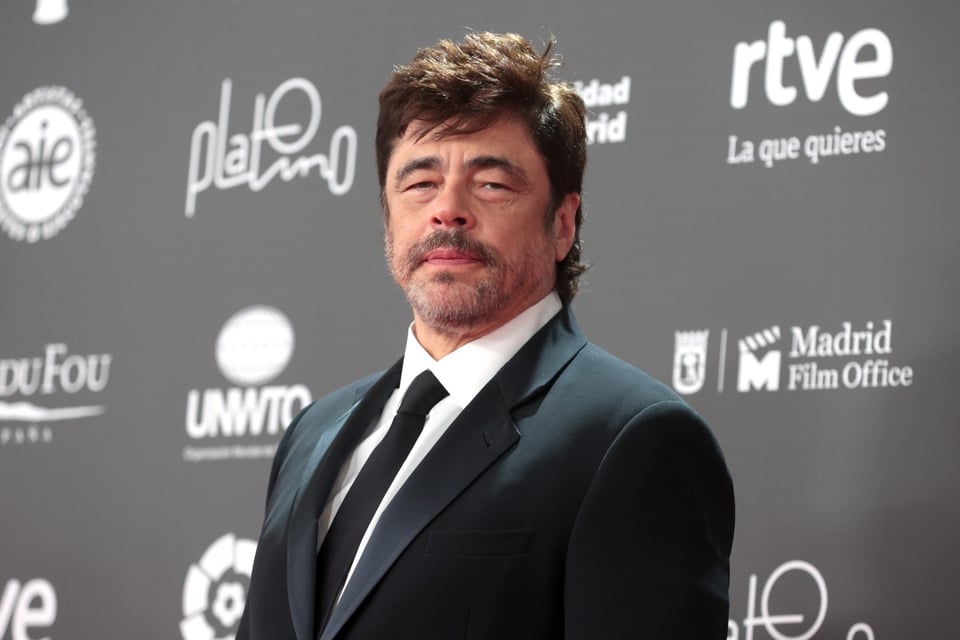 Hispanics, Hollywood, Benicio del Toro, Puerto Rico, actor, MundoNOW