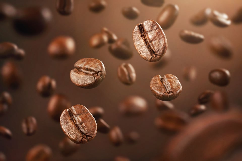 How to make coffee: choose beans first