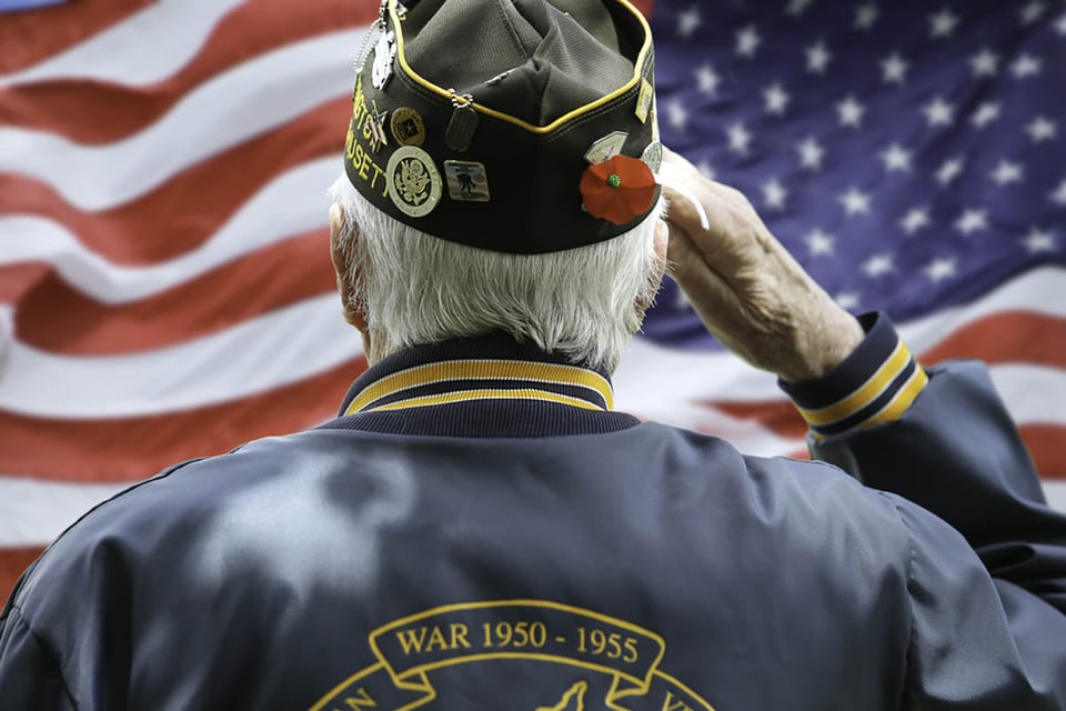 Veterano, saludo, bandera estadounidense, servicio, fuerzas armadas