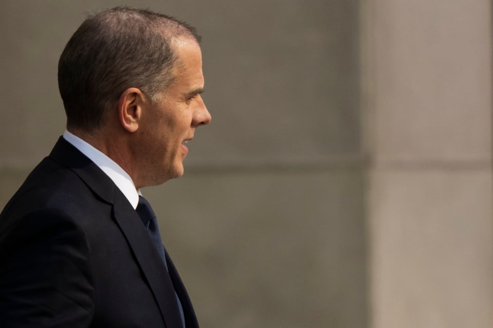 Formulario de compra de arma, Consumo de drogas, Adicción al crack, Cargos judiciales, Corte federal