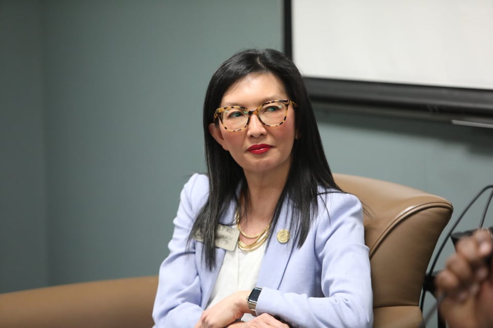 Rep. Michelle Au, Small Business Support, Inclusive Health Care, Immigration Policy, Policing Cultural Competency, Reactive Legislation, and Rights.