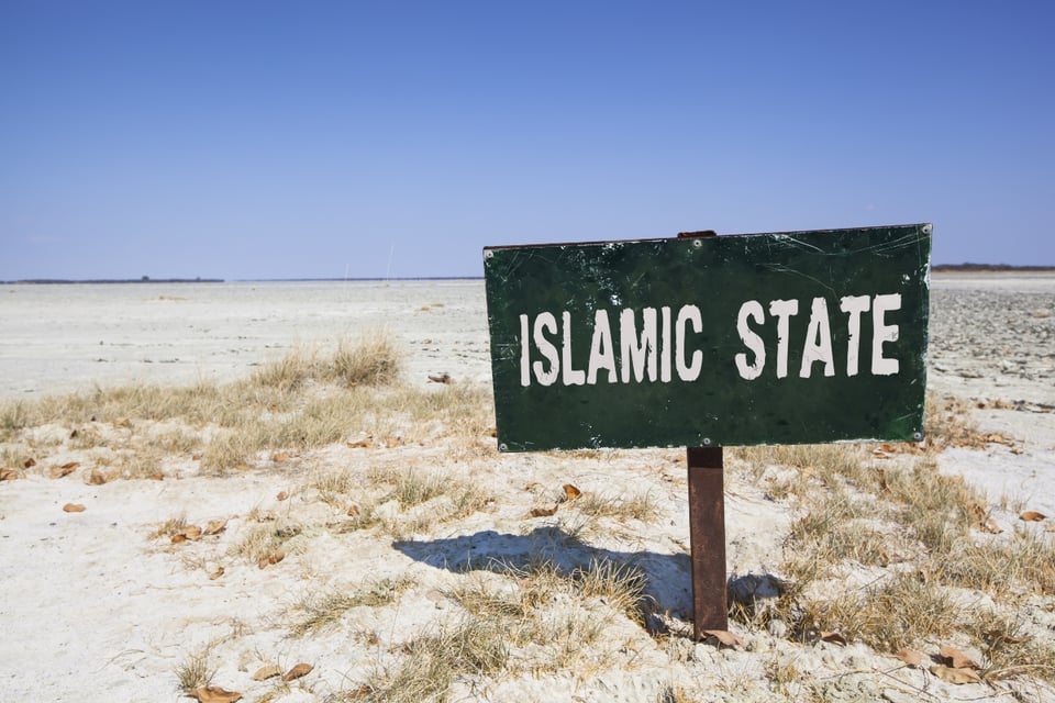 Islamic State leader killed: US says he was planning attacks in Europe