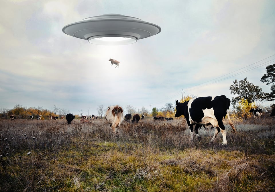 Encuentros cercanos: cómo saber si has experimentado un avistamiento de ovnis