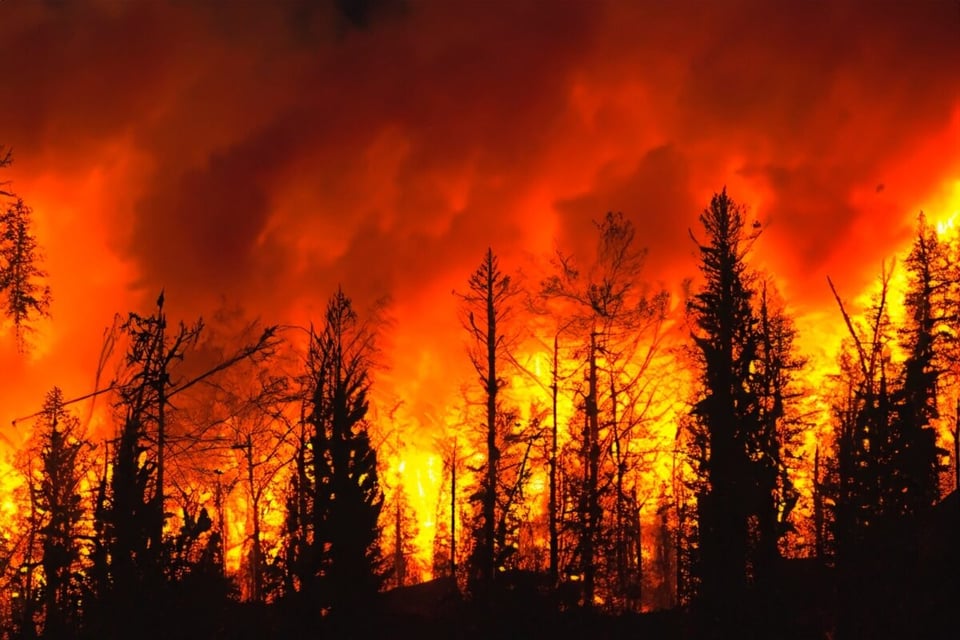 Bomberos, incendio, Estados Unidos, California, Los Ángeles