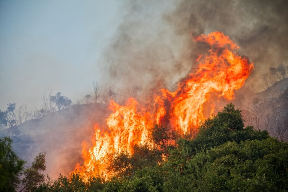Peligro, Evacuación, Seguridad, Acciones, Desfíos