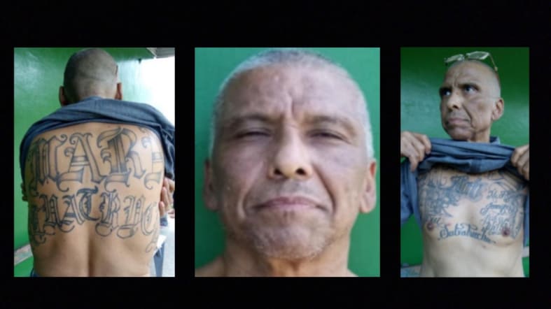 Alleged MS-13 leader, José Ayala-Alcantara, is arrested in Mexico