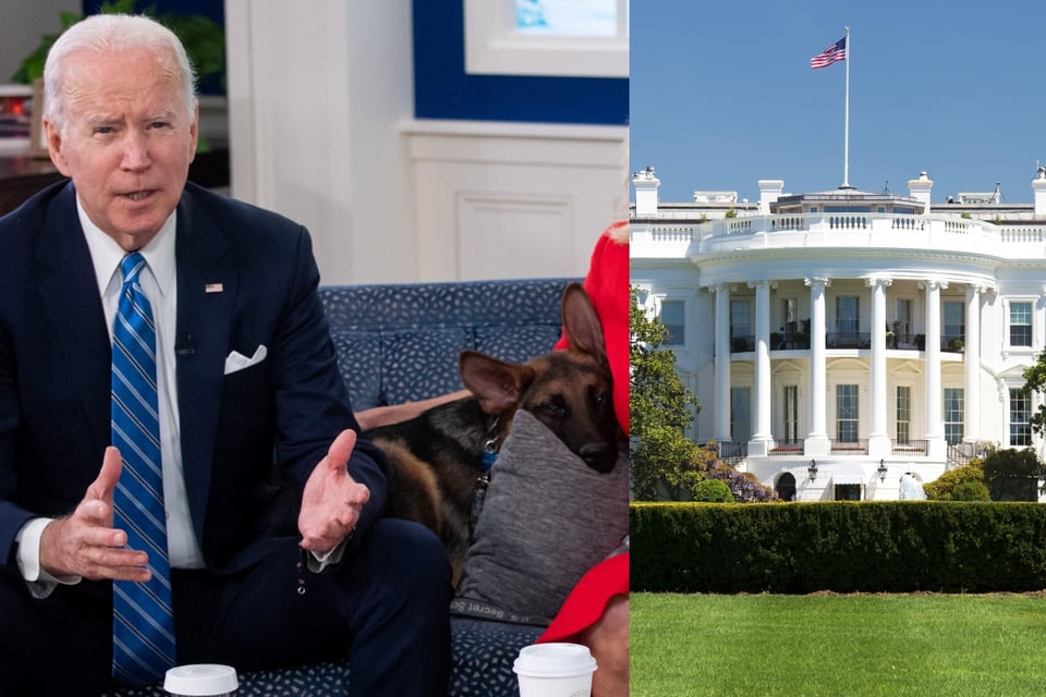 ¡Lo expulsan de la Casa Blanca! Perro de los Biden es retirado por morder a varios agentes