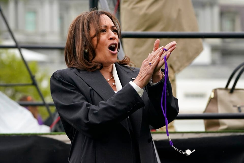 ¡Dan buena noticia a Kamala Harris! Asegura los votos suficientes para ser la candidata oficial demócrata