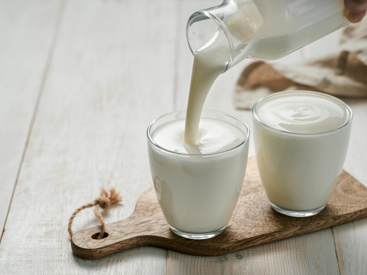 La elección adecuada de la leche, ¿qué significan las etiquetas y por qué vienen en ese envase?