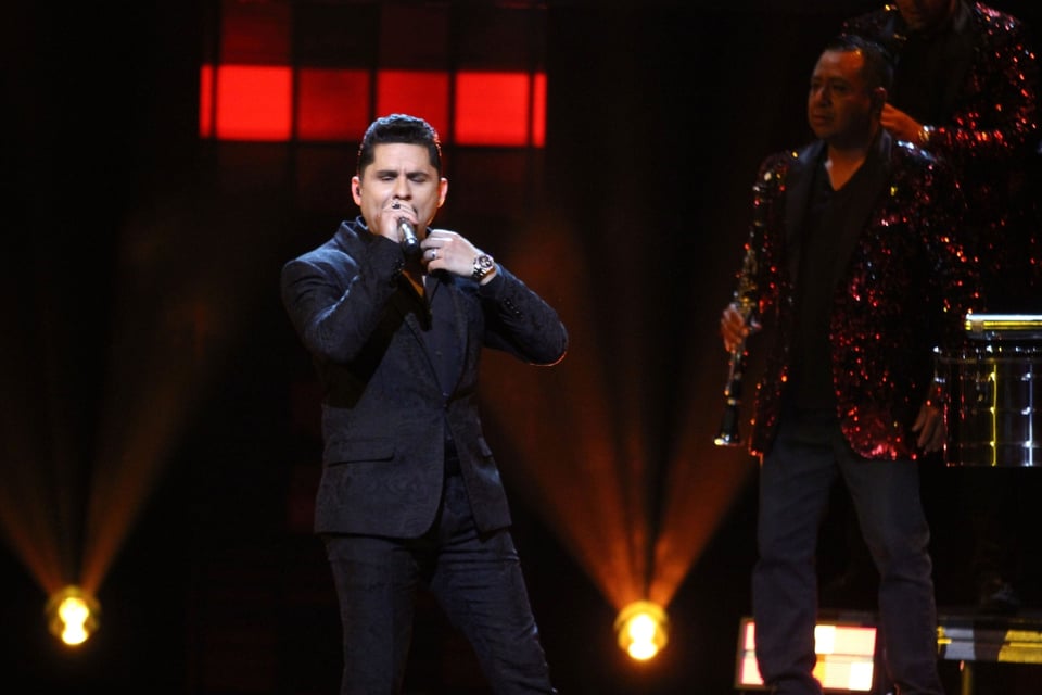 Concierto, Artista, Celebridades, Peligro, Autoridades