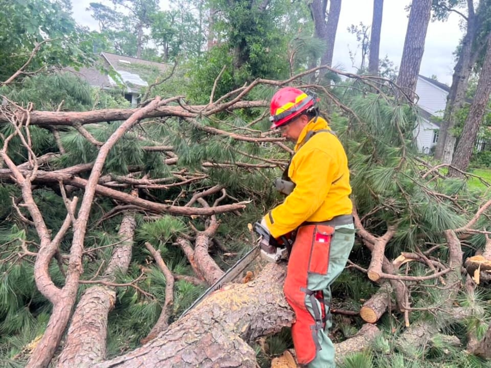 árboles caídos, daños de la tormenta, bomberos, Houston, MundoNOW