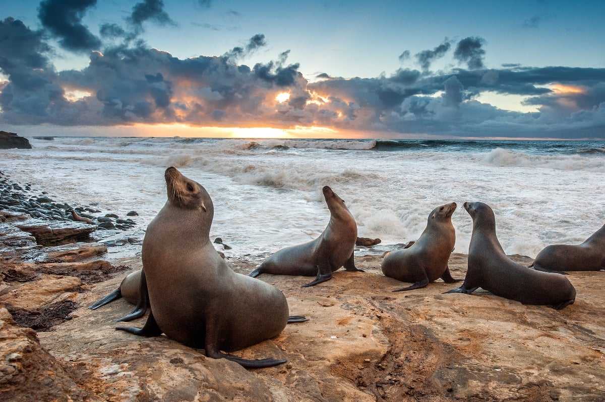 FOTO: Getty Images