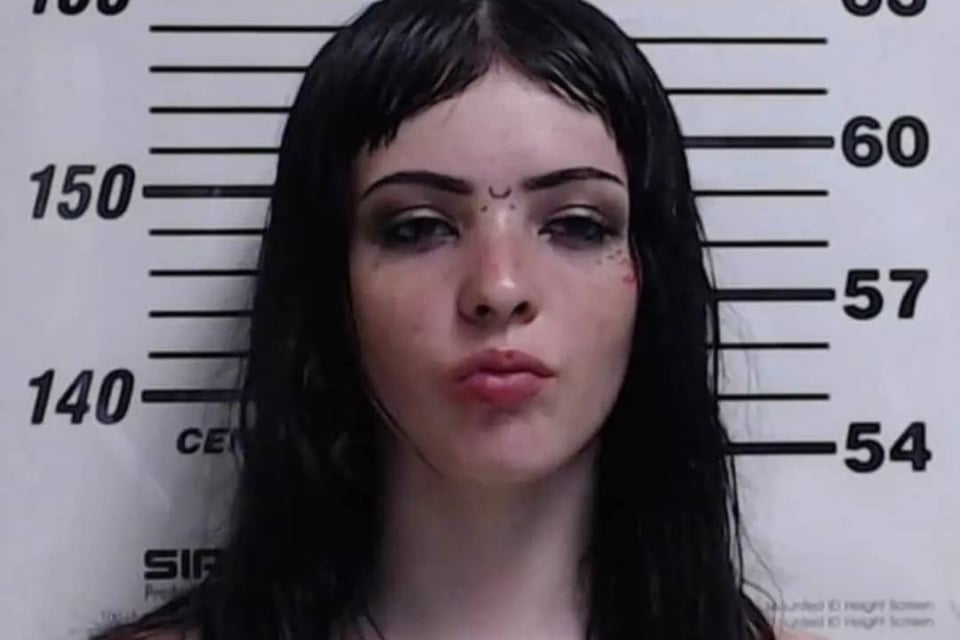 Adolescente apuñala a su madre y luego le prende fuego a su casa featured image