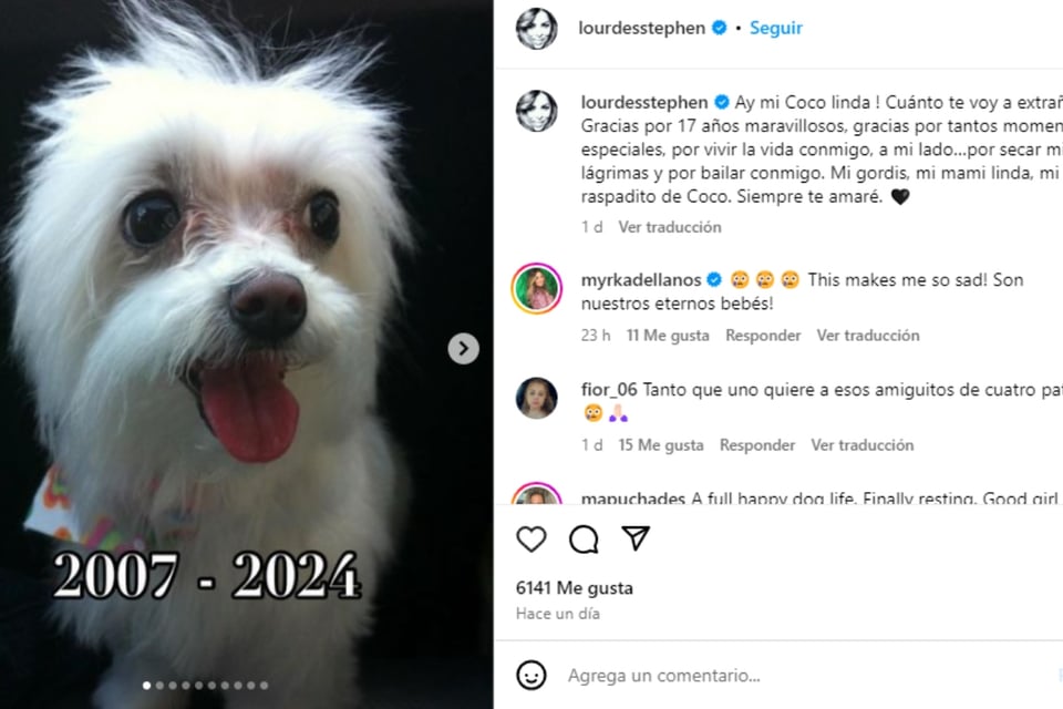 conmocionado, valentía, comunicar, acontecimiento, mundonow