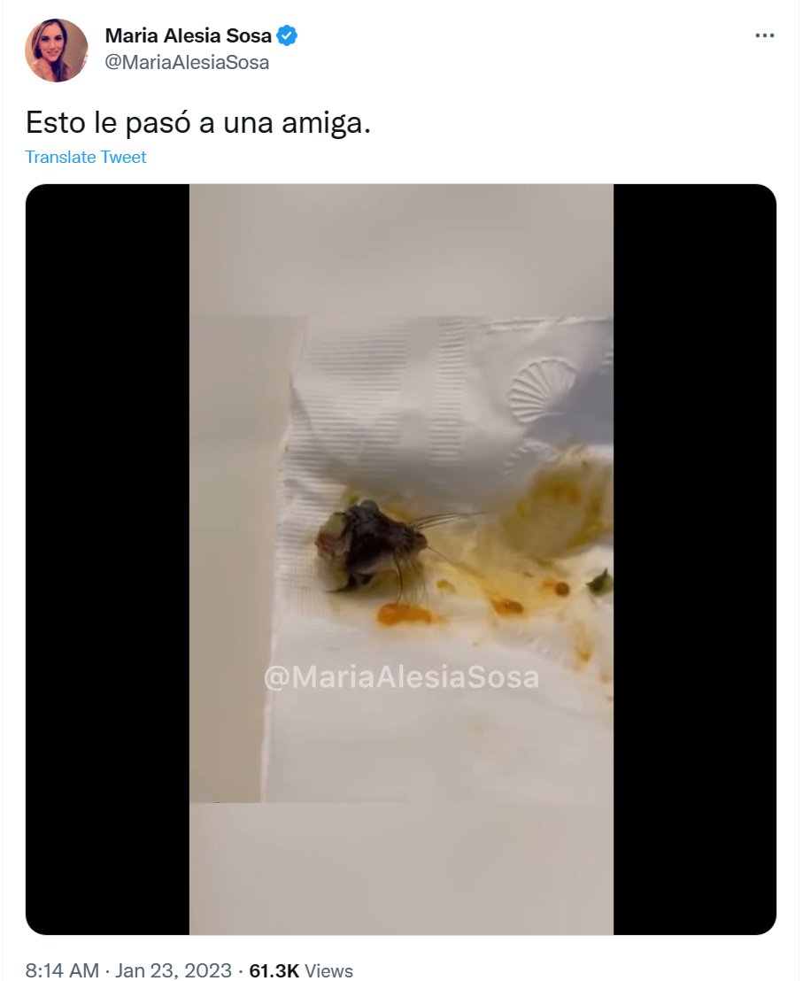 Mouse head ravioli Costco