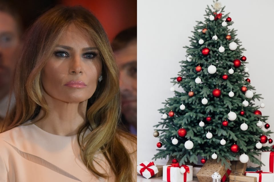 Revelan la razón por la que Melania no aparece en la foto navideña de los Trump