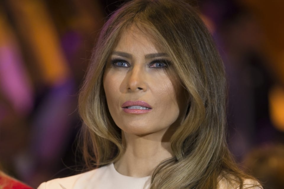 Melania Trump shares first official portrait as first lady, sparking criticism