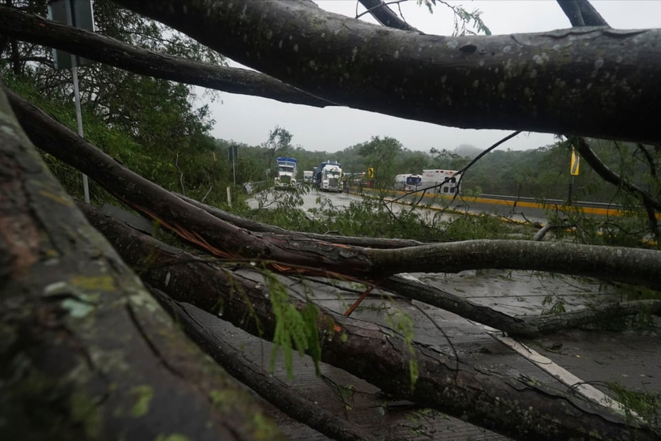 predijo, afectaciones, destrozos, árboles, MundoNow