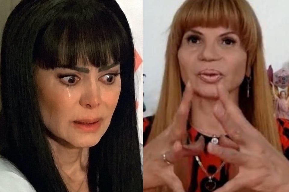 Mhoni Vidente assures that Maribel Guardia is getting divorced