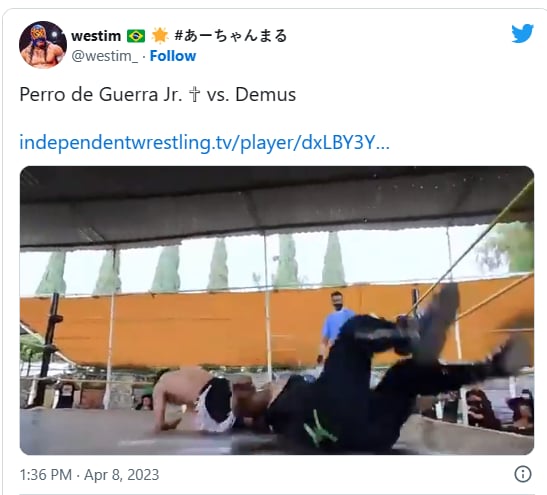 Perro de Guerra Jr
