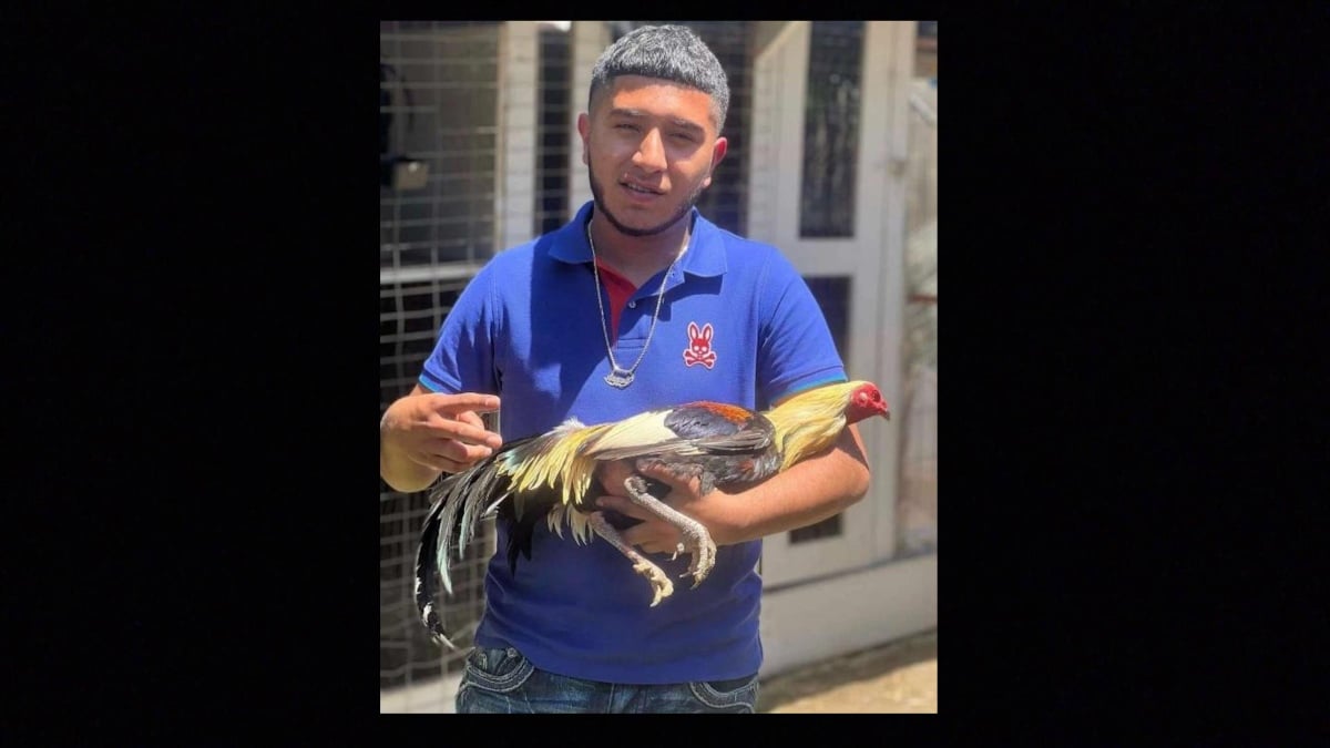 Mario Navarro murió asesinado en un brutal tiroteo masivo; ¿sus amigos se salvaron?